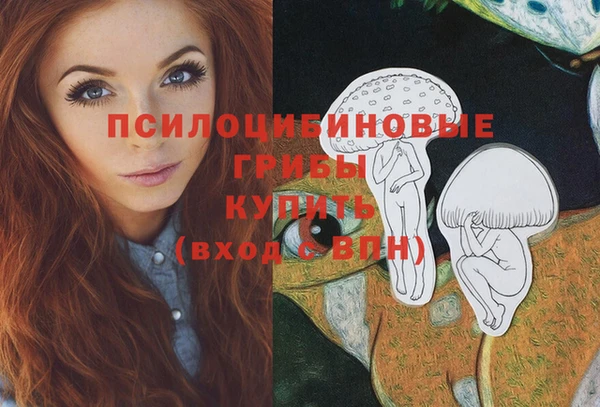 соль ск Балабаново
